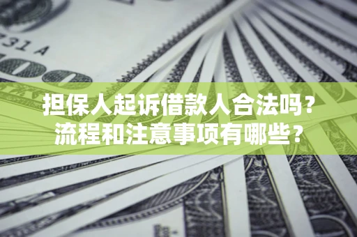 济南担保人起诉借款人合法吗？流程和注意事项有哪些？