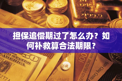 济南担保追偿期过了怎么办？如何补救算合法期限？