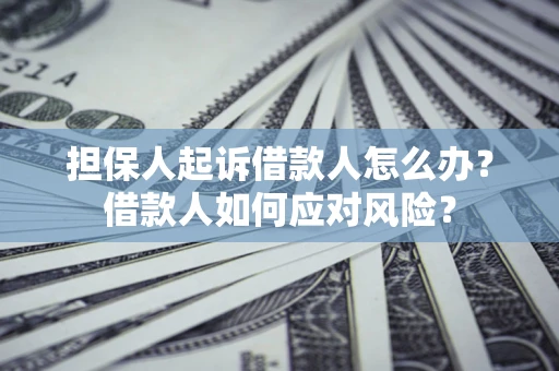 济南担保人起诉借款人怎么办？借款人如何应对风险？