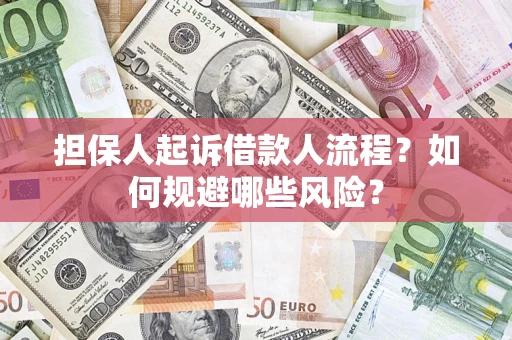 济南担保人起诉借款人流程？如何规避哪些风险？