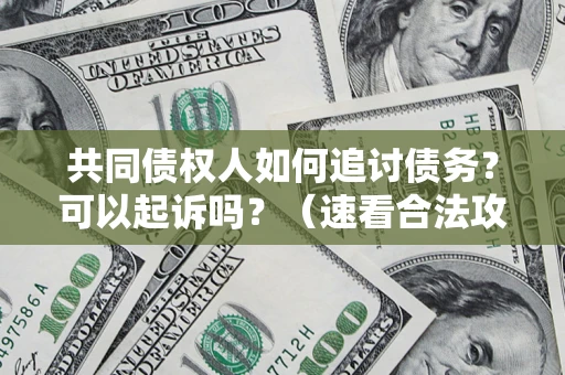 济南共同债权人如何追讨债务？可以起诉吗？（速看合法攻略）