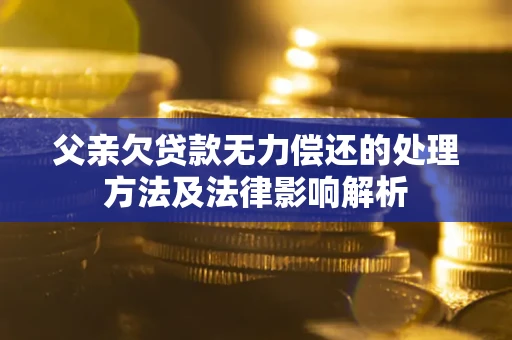 济南父亲欠贷款无力偿还的处理方法及法律影响解析
